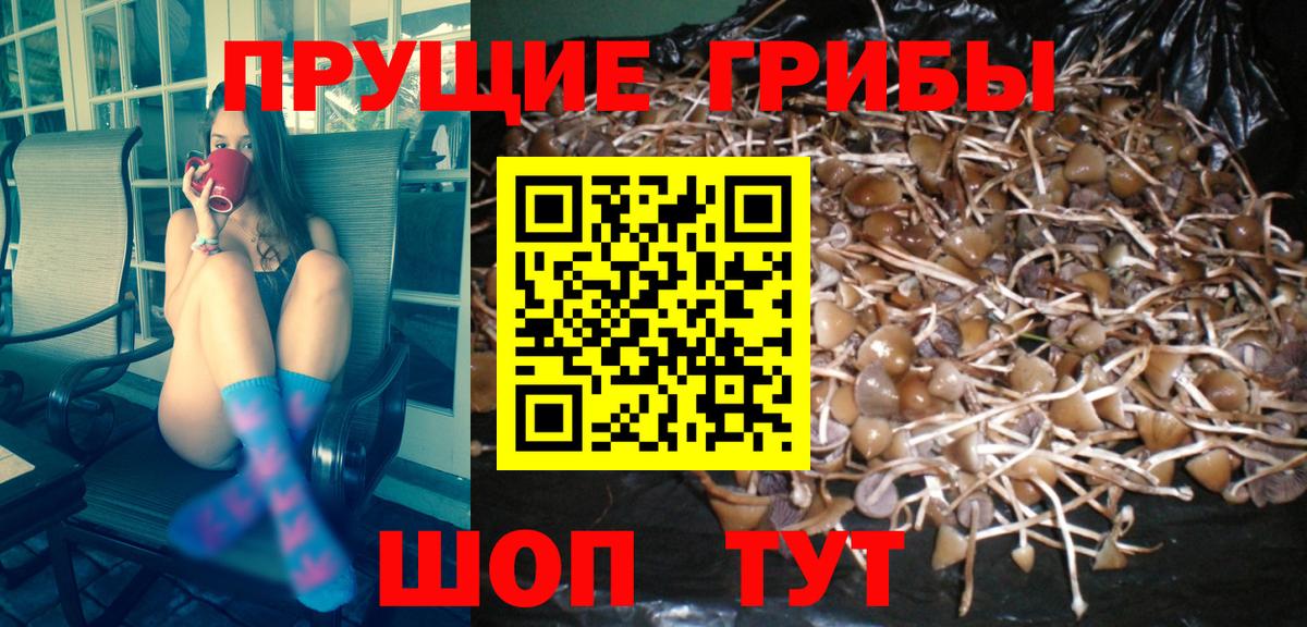 Серпухов  Галлюциногенные грибы MAGIC MUSHROOMS  купить наркоту  Вход с VPN 